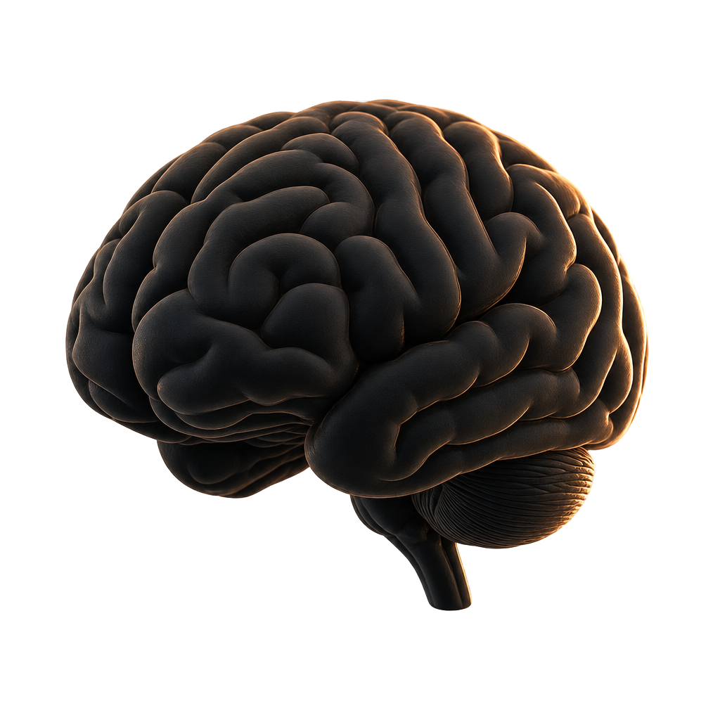 Brain